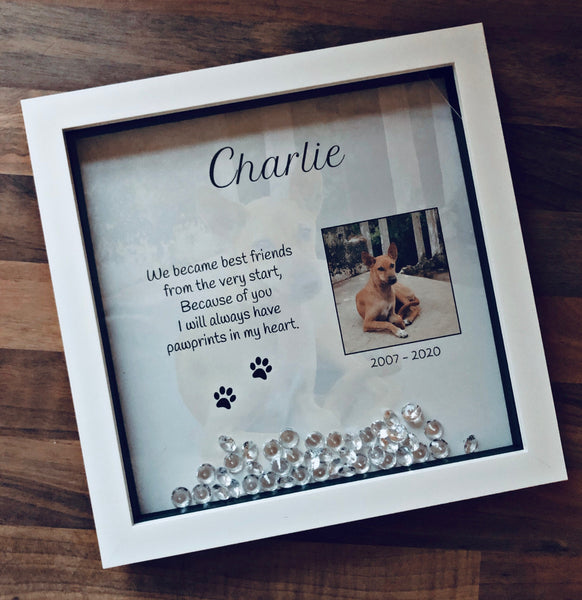 Pet remembrance photo frame. Personalised pet frame. Pet sympathy gift.