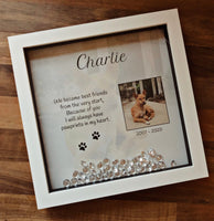 Pet remembrance photo frame. Personalised pet frame. Pet sympathy gift.